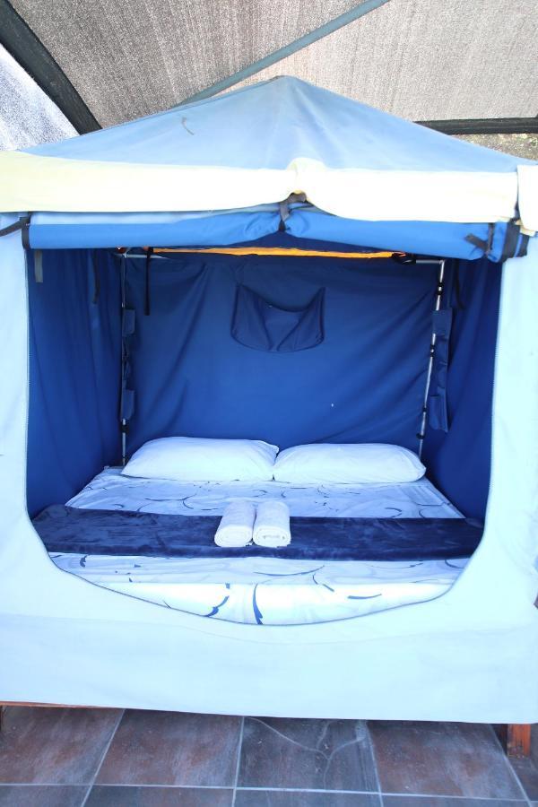 Tsitsikamma On Sea Poolside Cabanas - They Are Not Tents Witelsbos エクステリア 写真