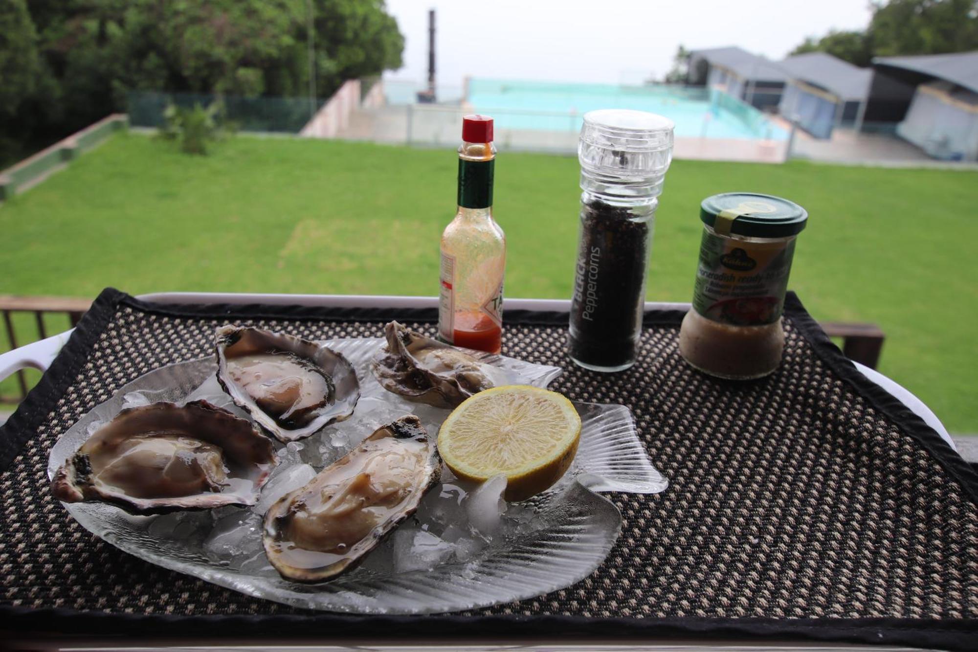 Tsitsikamma On Sea Poolside Cabanas - They Are Not Tents Witelsbos エクステリア 写真